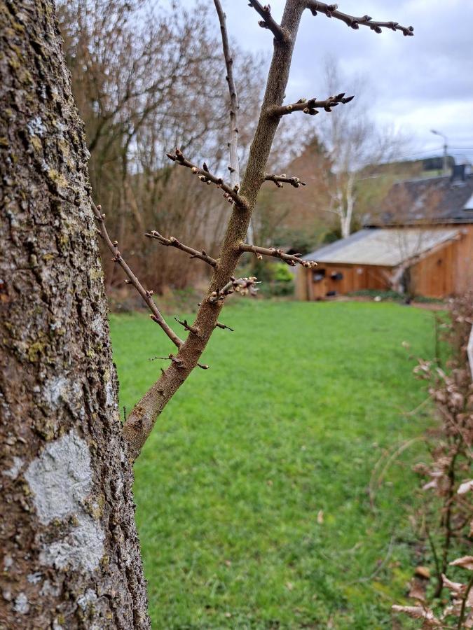 La Ptit Marie Villa Houffalize Eksteriør billede